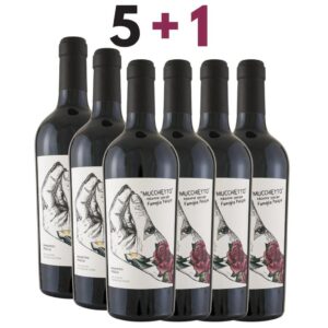 Pasqua Mucchietto Primitivo 5+1